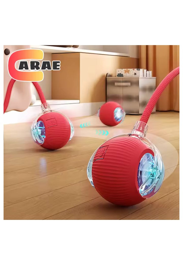 Arae Smart Ball
