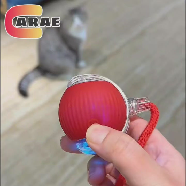 Arae Smart Ball